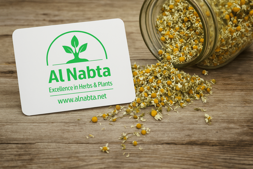 file 00000000047c61f4a1c0e86a95ad5b44