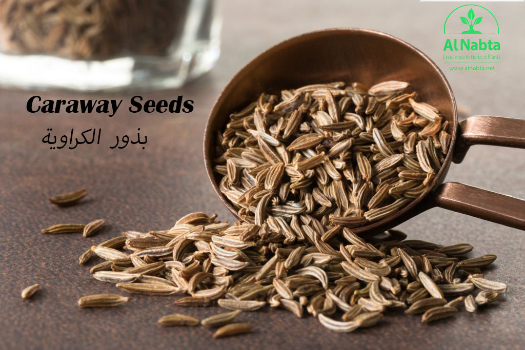 caraway seeds spilled from a teaspoon