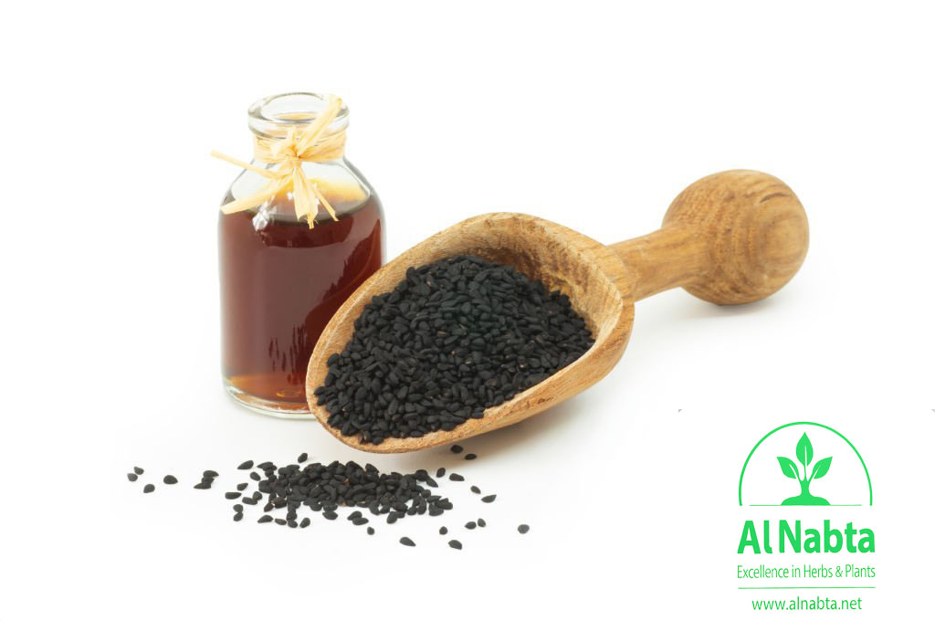 حبة البركة1 copy