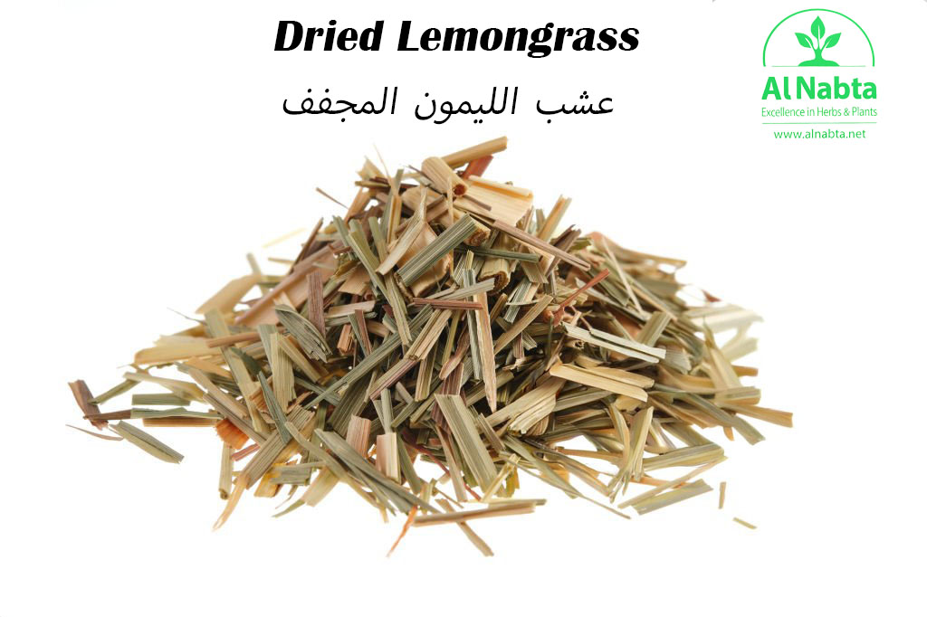 حشاش ليمون copy