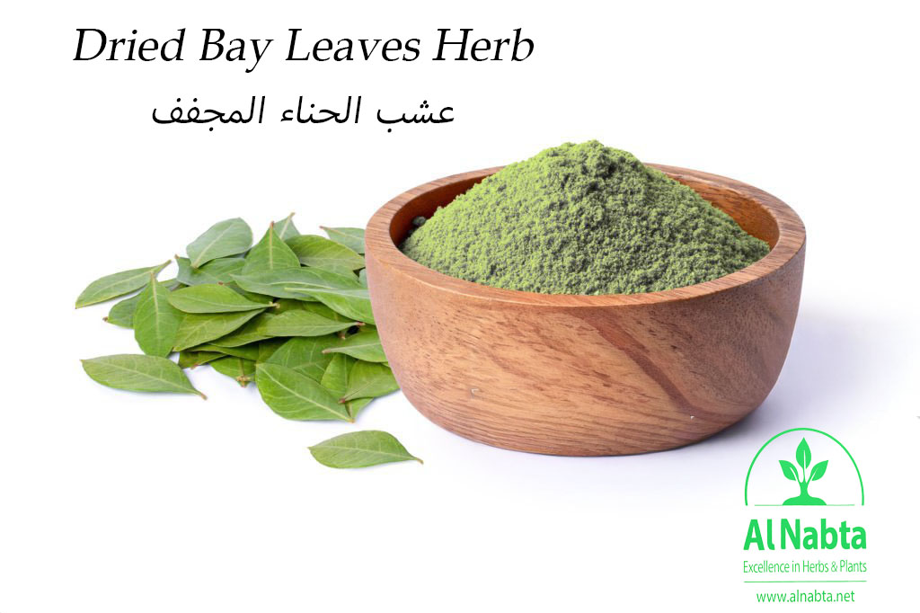 herbal henna hair dye powder. natural product for organic hair coloring.