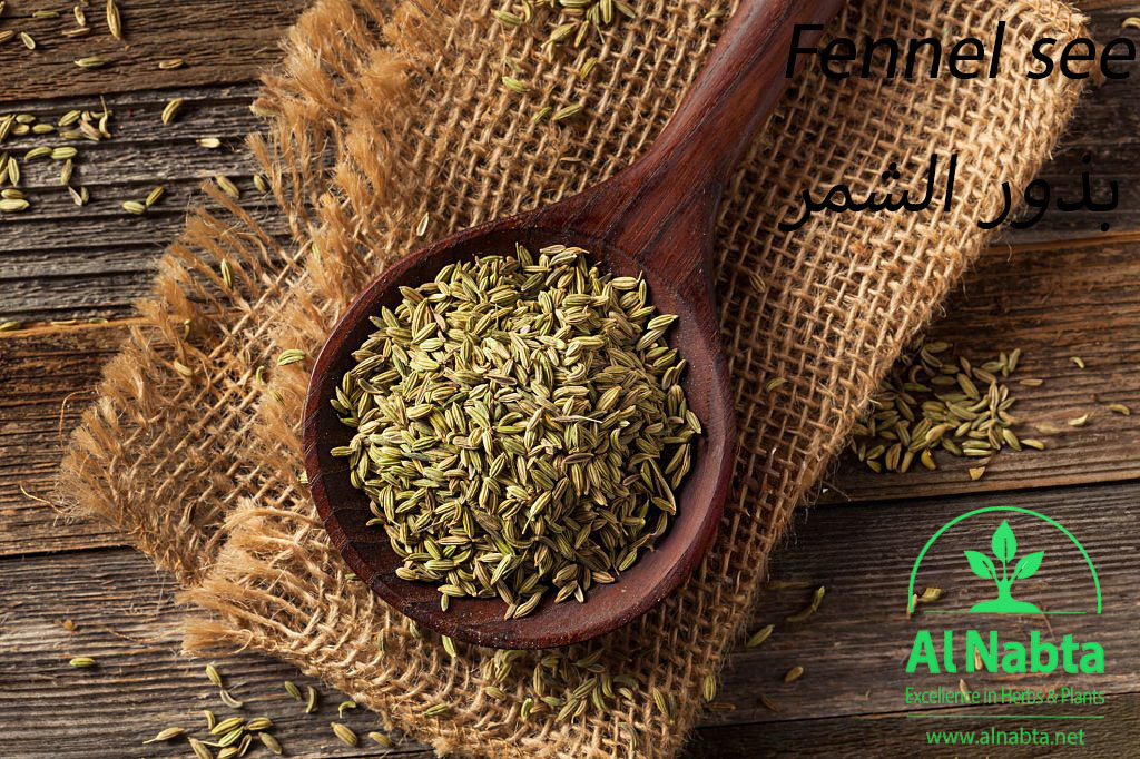 raw organic fennel seed ready to use