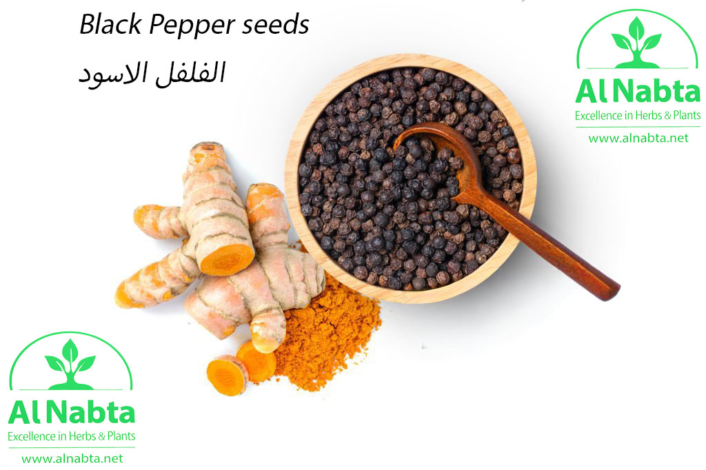 فلفل اسود copy