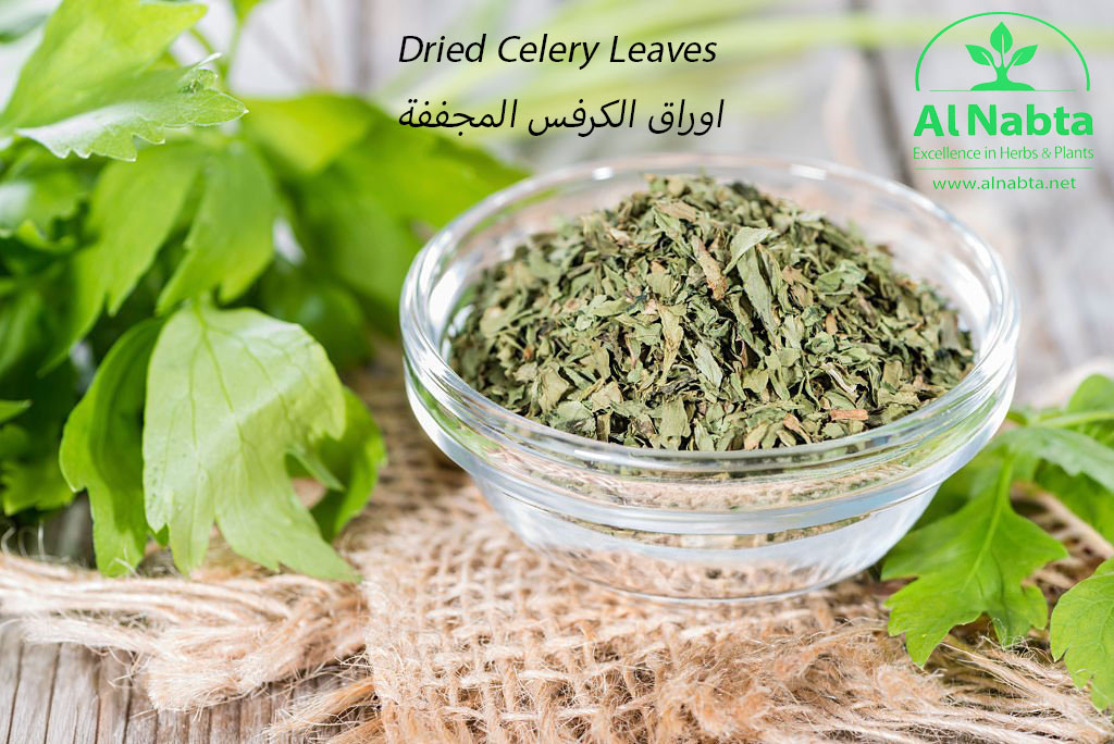 heap of dried lovage on weathered wooden background