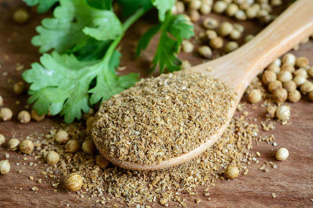 coriander powder, aromatic ingredients and condiment on rustic wooden table