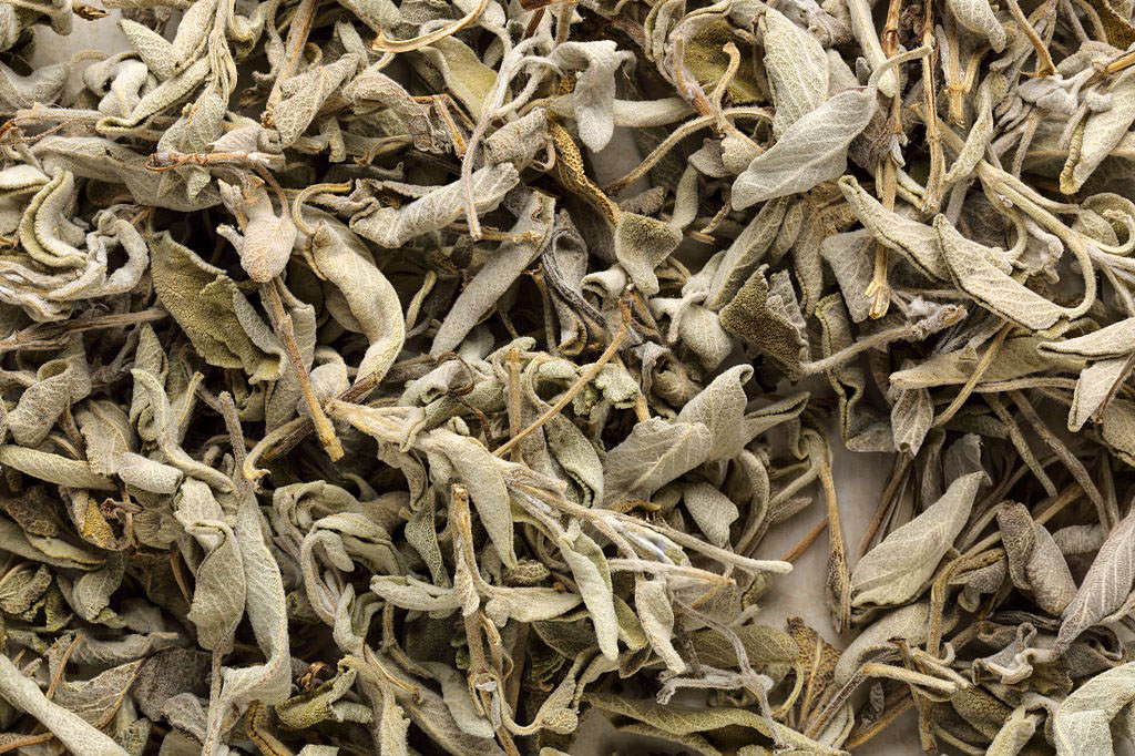 dried sage background.