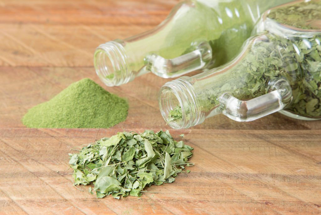 moringa nutritional plant moringa oleifera