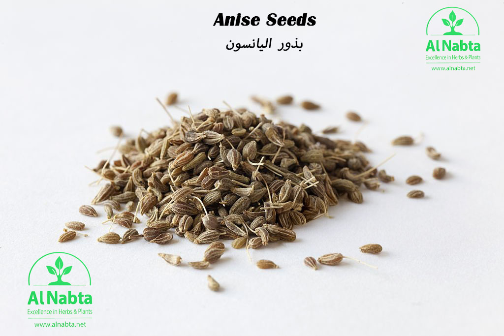 a pile of anise seeds on a white background.