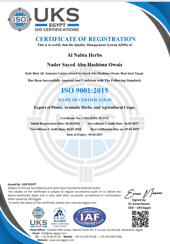ISO 9001